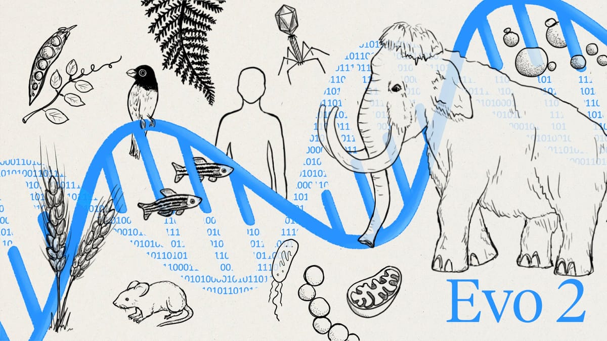 Evo 2 AI: Modeling the Genetic Code Across All Domains of Life