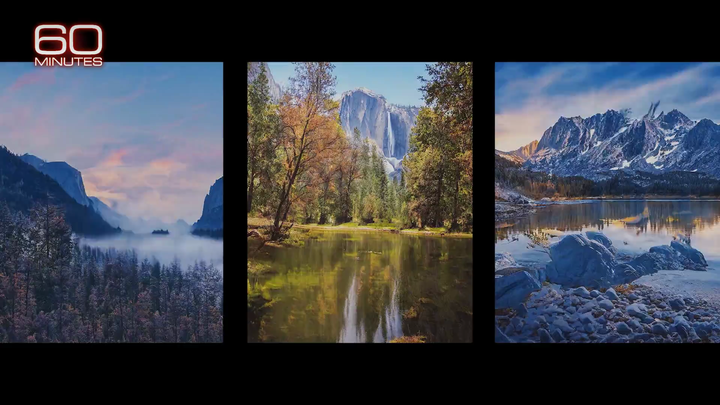 Some Artists and Museums Embrace AI Art While Others Call It a Gimmick